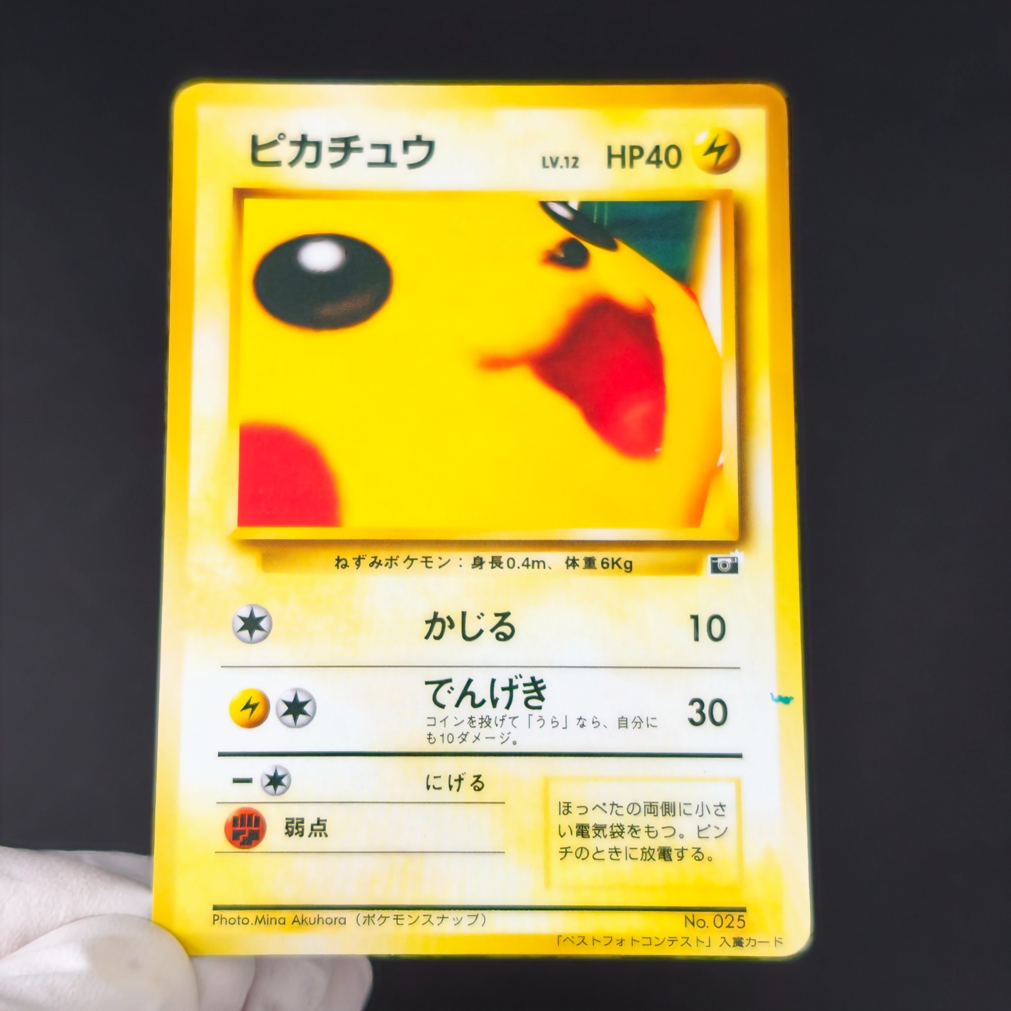 10 ชิ้นโปเกมอน วินเทจ บอย บูลบ - Retro Gaming Pokemon บทวิจารณ์และราคา